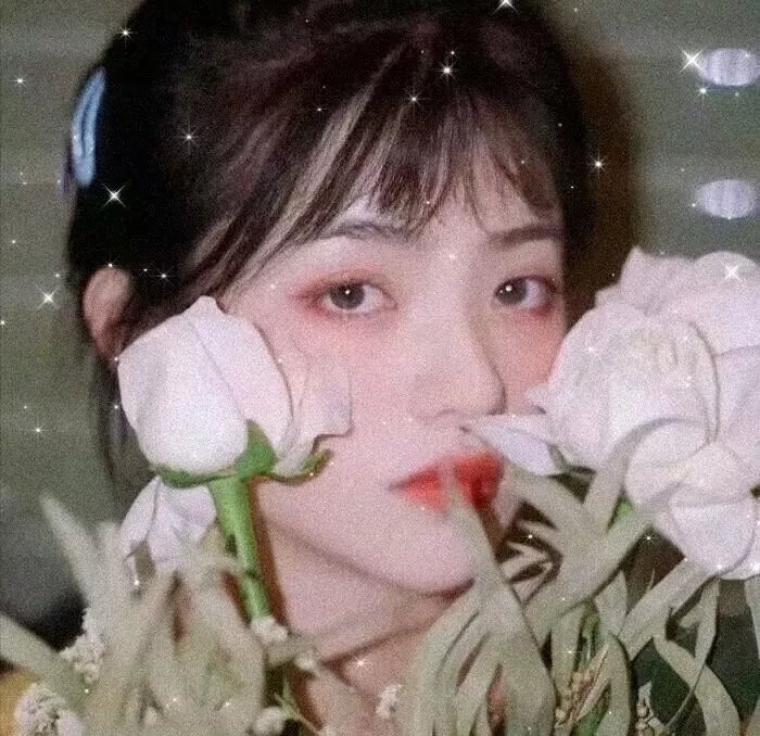美狄亚的诅咒